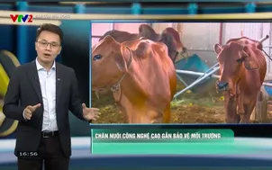 Bạn của nhà nông (2026) - Số 37