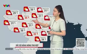 Bản tin thời tiết 12h30 - 14/8/2026