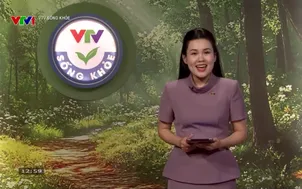 VTV sống khỏe: Công nghệ ốc tai điện tử