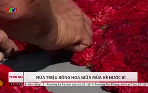 Nửa triệu bông hoa giữa mùa hè nước Bỉ