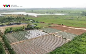 Dám sống: Đi về phía mặt trời