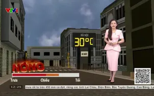 Bản tin thời tiết 12h30 - 16/8/2026