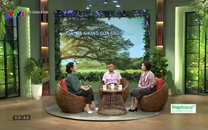 	VTV Sống khỏe: 	Giải mã những cơn đau đầu