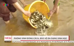 Phóng sinh đúng cách, bảo vệ đa dạng sinh học