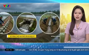 Bản tin thời tiết 5h30 - 18/8/2026