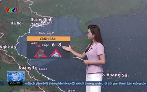 Bản tin thời tiết 6h30 - 18/8/2026