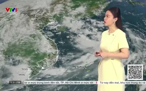 Bản tin thời tiết 12h30 - 18/8/2026