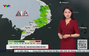 Bản tin thời tiết 12h30 - 19/8/2026