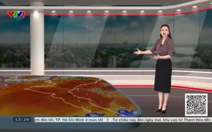 Bản tin thời tiết 12h30 - 20/8/2026