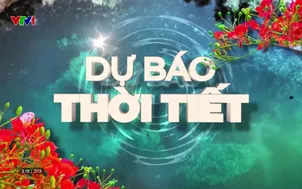 Bản tin thời tiết 19h45 - 20/8/2026