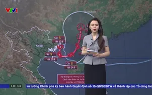Bản tin thời tiết 18h45 - 22/8/2026