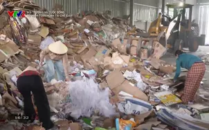 Môi trường và cuộc sống: Mô hình tuần hoàn tái chế giấy