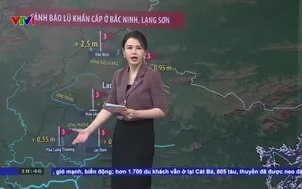 Bản tin thời tiết 18h30 - 23/8/2026