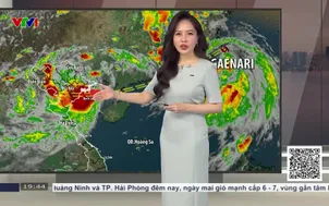 Bản tin thời tiết 19h45 - 23/8/2026