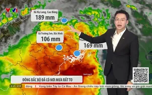 Bản tin thời tiết 12h30 - 23/8/2026
