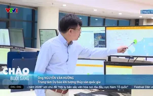 Những tác động của bão số 4