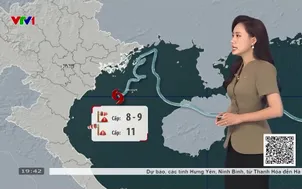 Bản tin thời tiết 19h45 - 24/8/2026