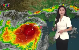 Bản tin thời tiết 9h10 - 24/8/2026