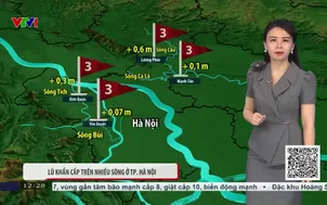 Bản tin thời tiết 12h45 - 25/8/2026