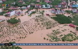 Bắc Ninh chủ động ứng phó mưa lũ, giảm thiệt hại nông nghiệp