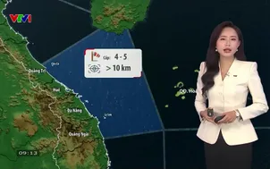 Bản tin thời tiết 9h10 - 26/8/2026
