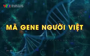 Ánh sáng tri thức: Mã gene người Việt