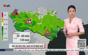 Bản tin thời tiết 19h45 - 29/8/2026