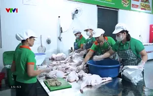 Về quê: Trở về gieo yêu thương