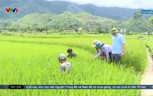 Mường Than an bình