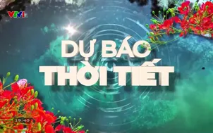 Bản tin thời tiết 19h45 - 01/9/2026