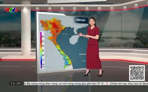 Bản tin thời tiết 12h30 - 01/9/2026