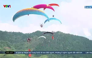 Bay trên mùa vàng Tú Lệ