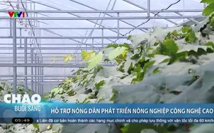 Hỗ trợ nông dân phát triển nông nghiệp công nghệ cao