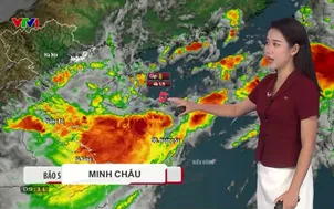 Bản tin thời tiết 9h10 - 01/9/2026