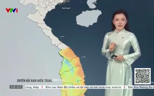 Bản tin thời tiết 12h30 - 02/9/2026