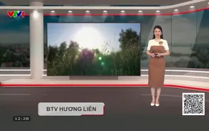 Bản tin thời tiết 12h30 - 03/9/2026