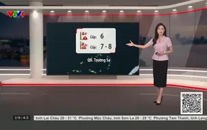 Bản tin thời tiết 19h45 - 03/9/2026