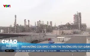 Ảnh hưởng của OPEC+ trên thị trường dầu suy giảm