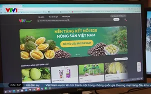 Đẩy mạnh tiêu thụ nông sản ra thị trường