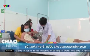 Sốt xuất huyết bước vào giai đoạn đỉnh dịch