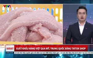 Xuất khẩu hàng Việt qua Mỹ, Trung Quốc bằng TikTok Shop