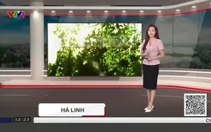 Bản tin thời tiết 12h30 - 06/9/2026