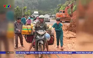 Thông tuyến đường Đồng Nai đi Lâm Đồng