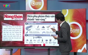 Điểm báo - 07/9/2026