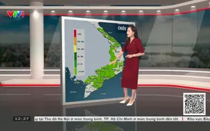 Bản tin thời tiết 12h30 - 07/9/2026