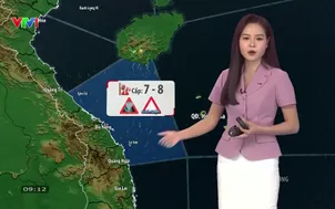 Bản tin thời tiết 9h10 - 07/9/2026