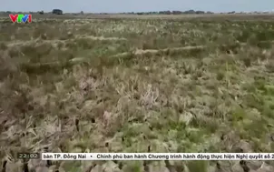 Cảnh báo hiện tượng thời tiết siêu EL Nino