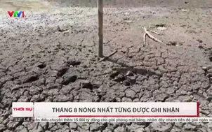 Tháng 8/2026 - tháng 8 nóng nhất từng được ghi nhận