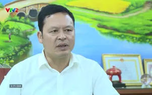 Đường tới nông trại: Vai trò của nông nghiệp xanh