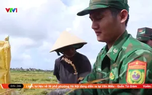 Khẩn trương thu hoạch nhiều diện tích lúa bị ngập úng